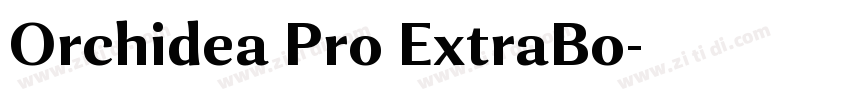 Orchidea Pro ExtraBo字体转换